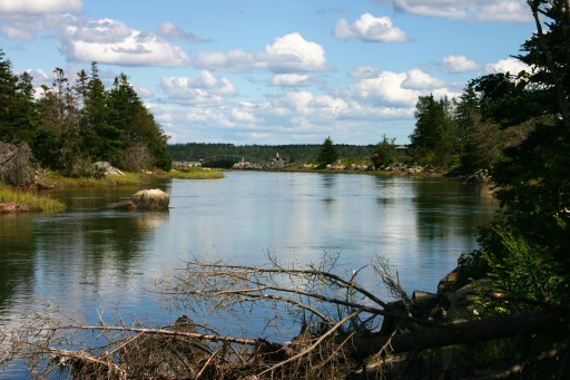 The Cole Harbour Salt Marsh Trail