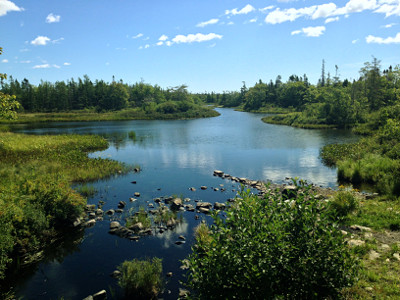 Along the Shearwater Flyer